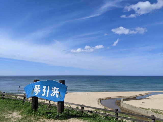 琴引浜