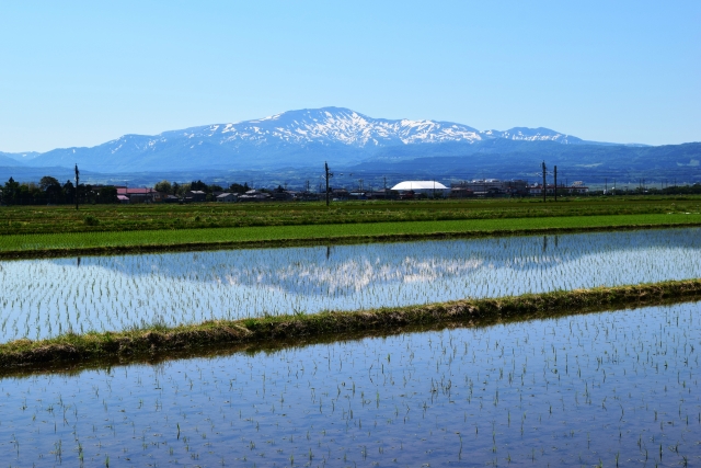 月山