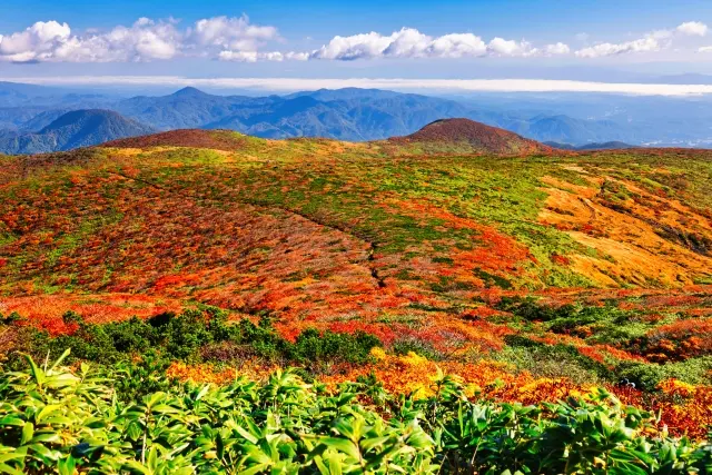 栗駒山の紅葉
