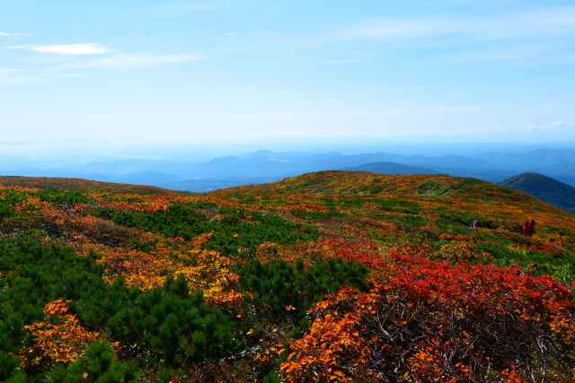 栗駒山の紅葉