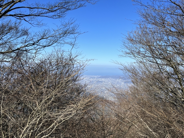 黒森山山頂