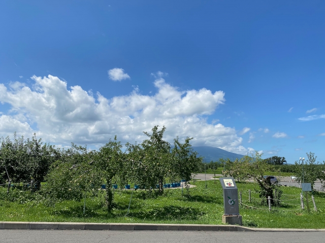 弘前りんご公園