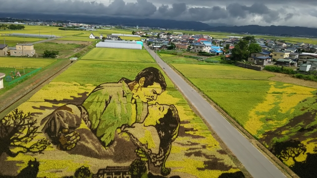 田んぼアート