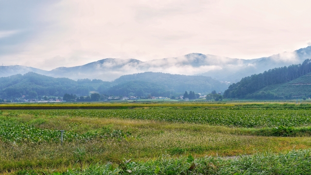 遠野市