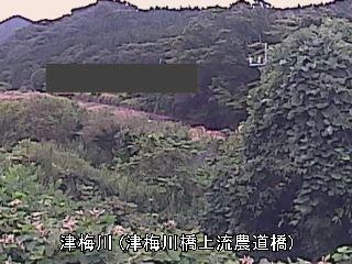 津梅川橋上流農道橋