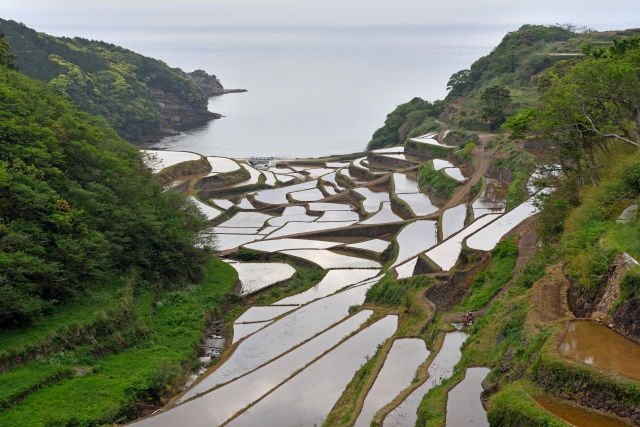 浜野浦の棚田