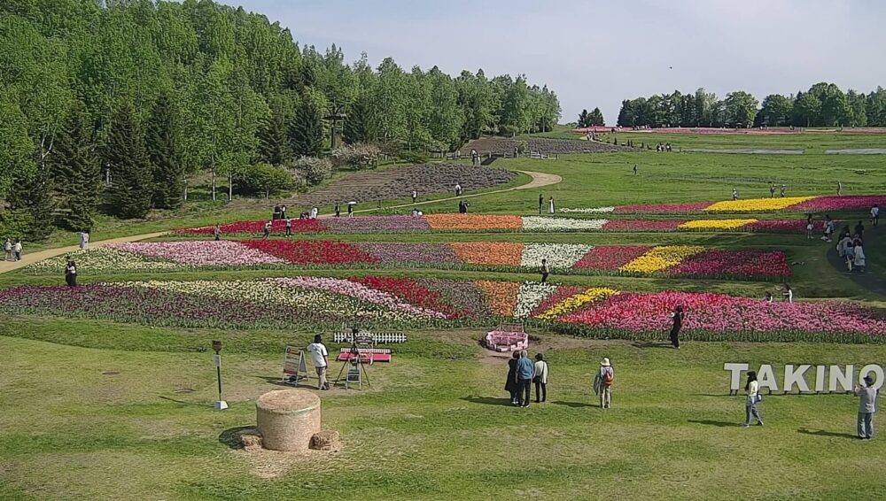 国営滝野すずらん公園