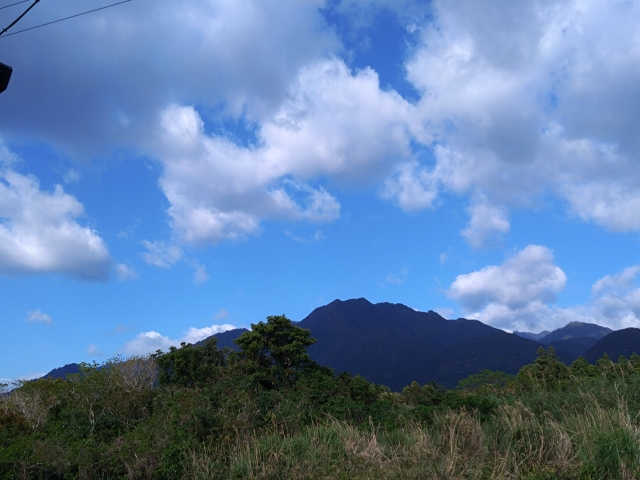 屋久島