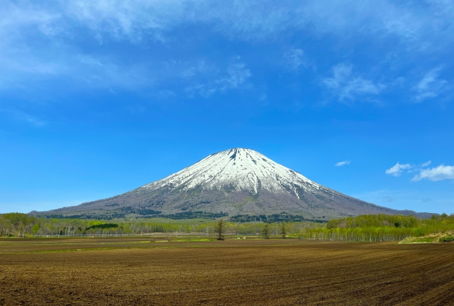 羊蹄山