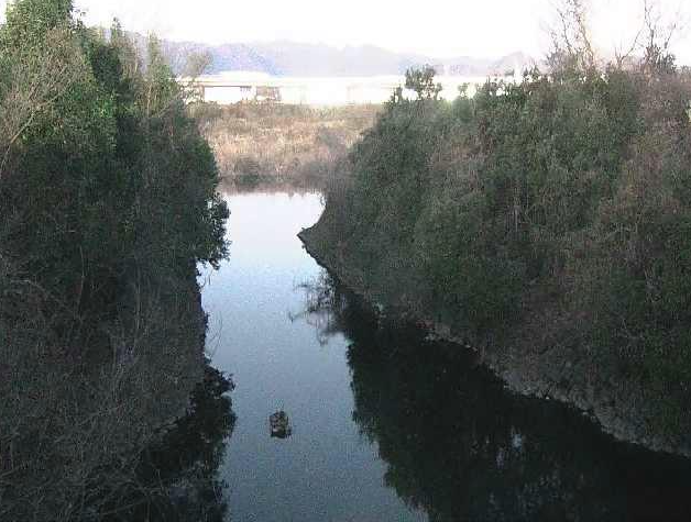 鳩川海老名分水路付近