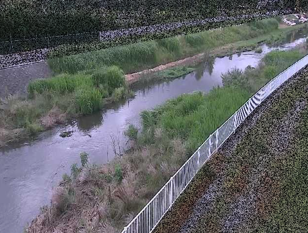 小出川一ツ橋