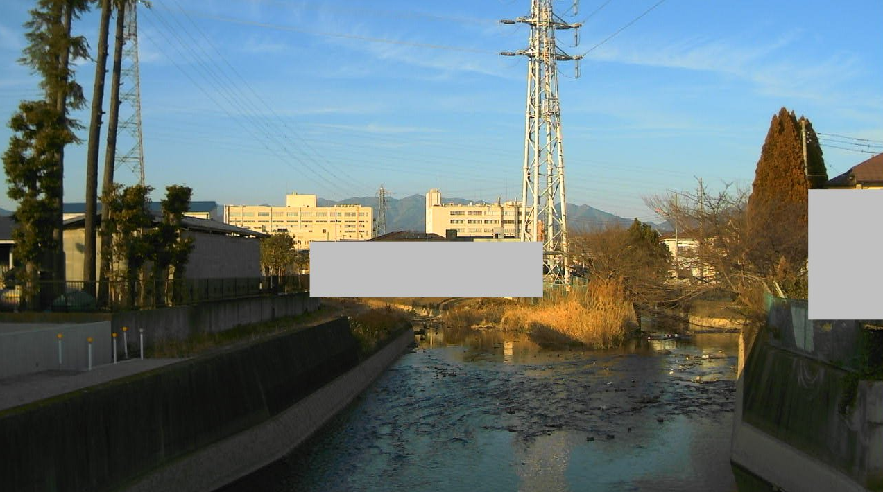 酒匂川金瀬川