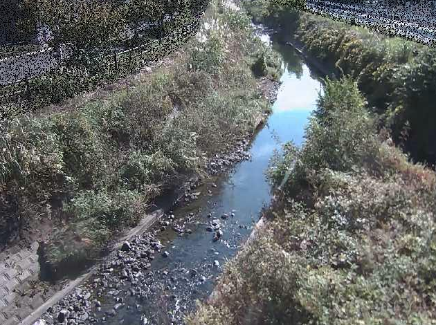 要定川土堀田橋付近