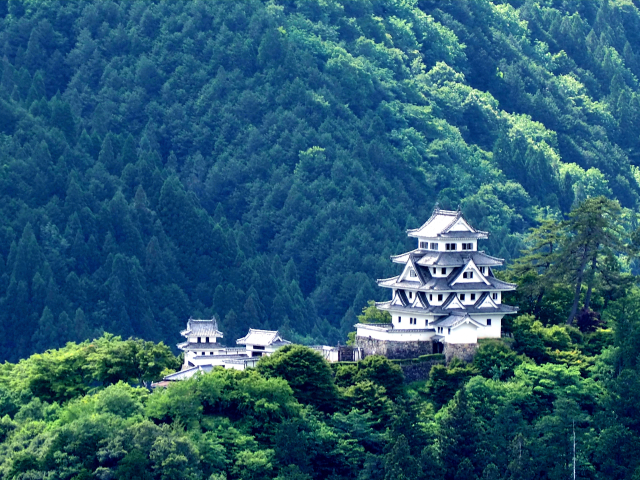 郡上八幡城