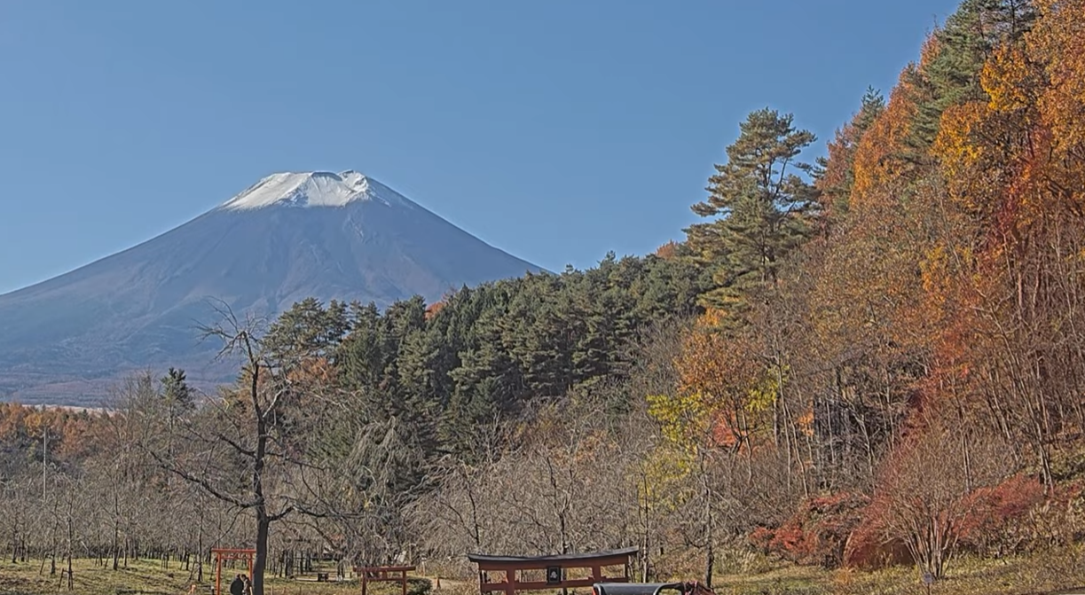 忍野しのびの里富士山