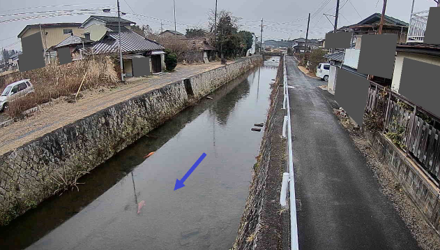 稲田川神田橋