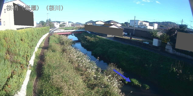 桜川桜橋岩瀬