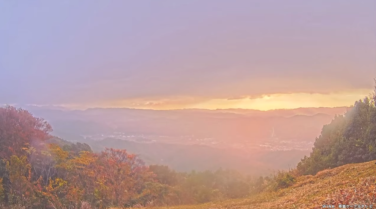 佐用の朝霧