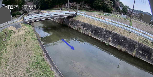 関根川朝香橋