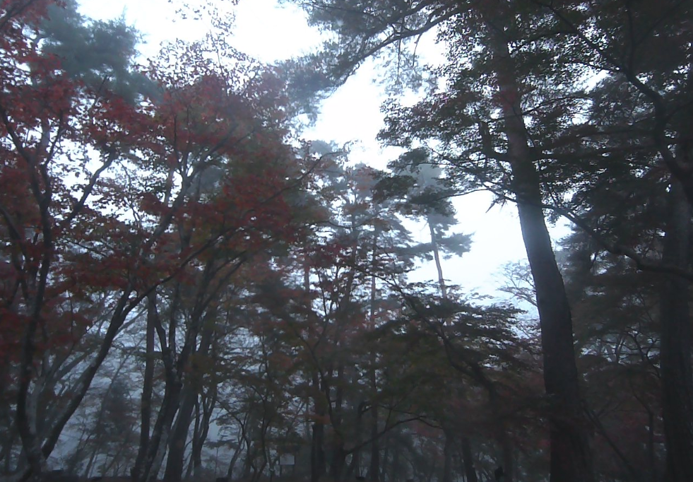 月の石もみじ公園