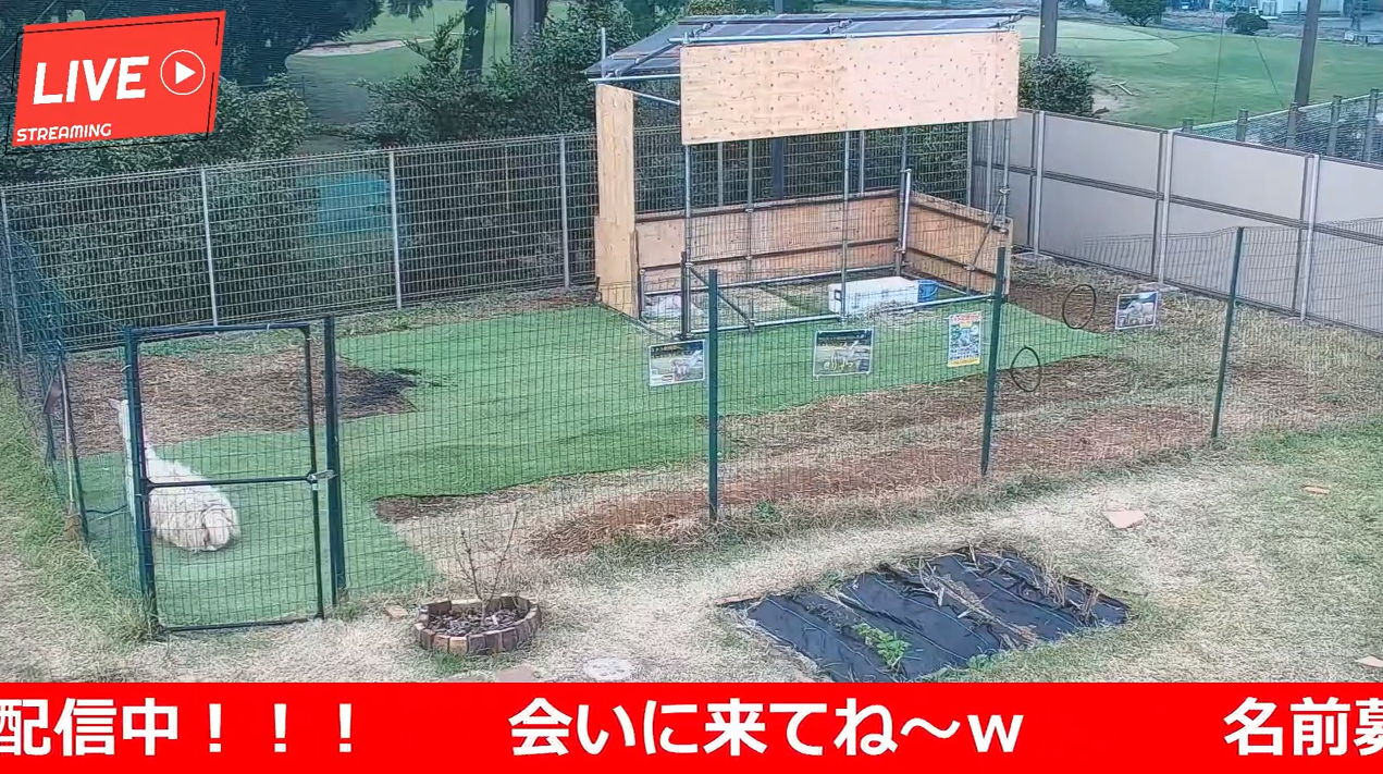 エクス動物園