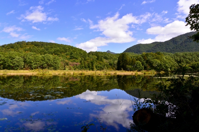 観音沼森林公園
