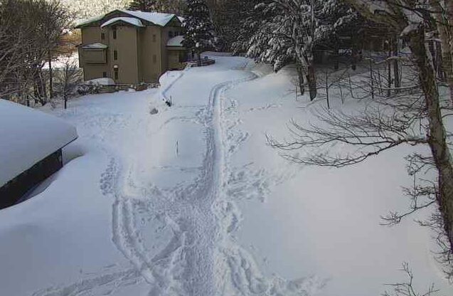 長野県道24号上高地公園線大正池