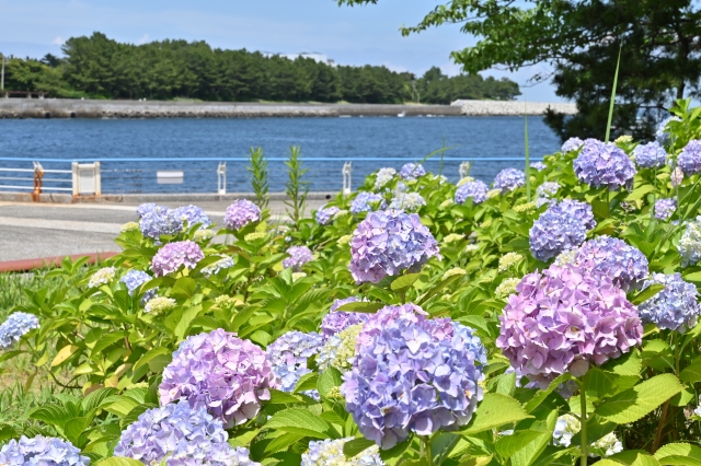 八景島シーパラダイス