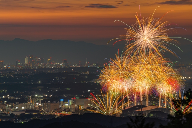 豊田おいでん花火大会
