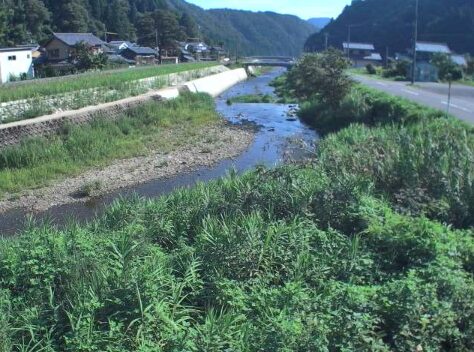 鹿蒜川(南今庄)