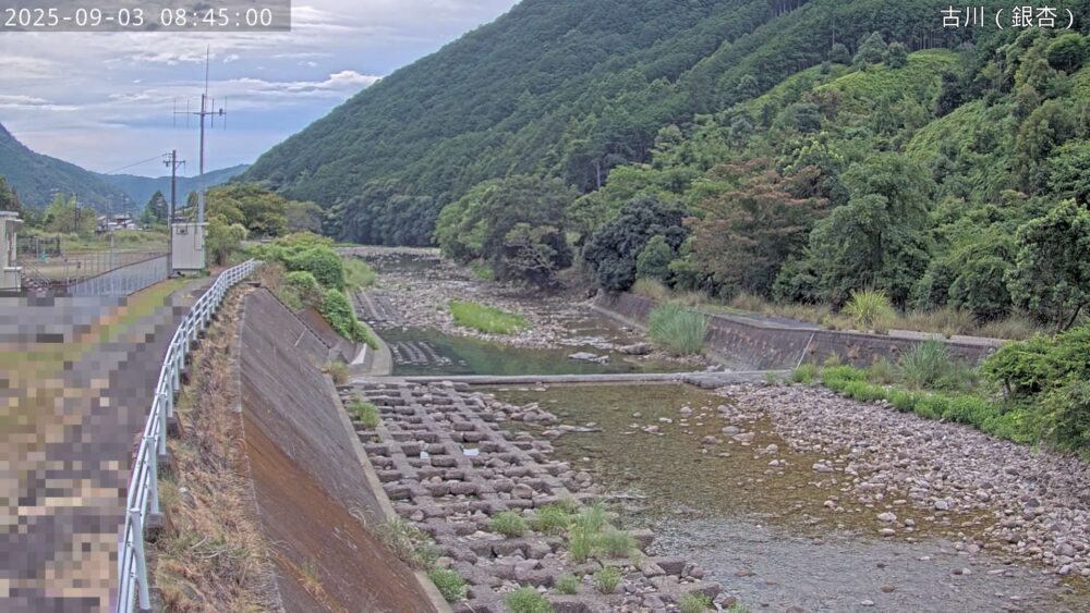 古川（銀杏）