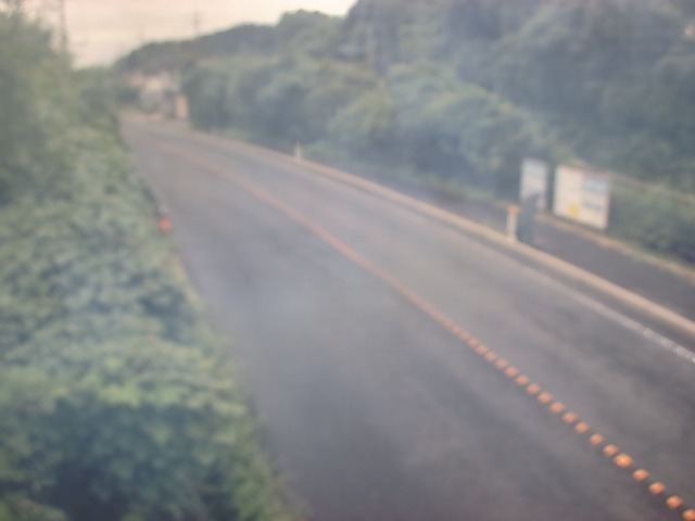 国道431号美野