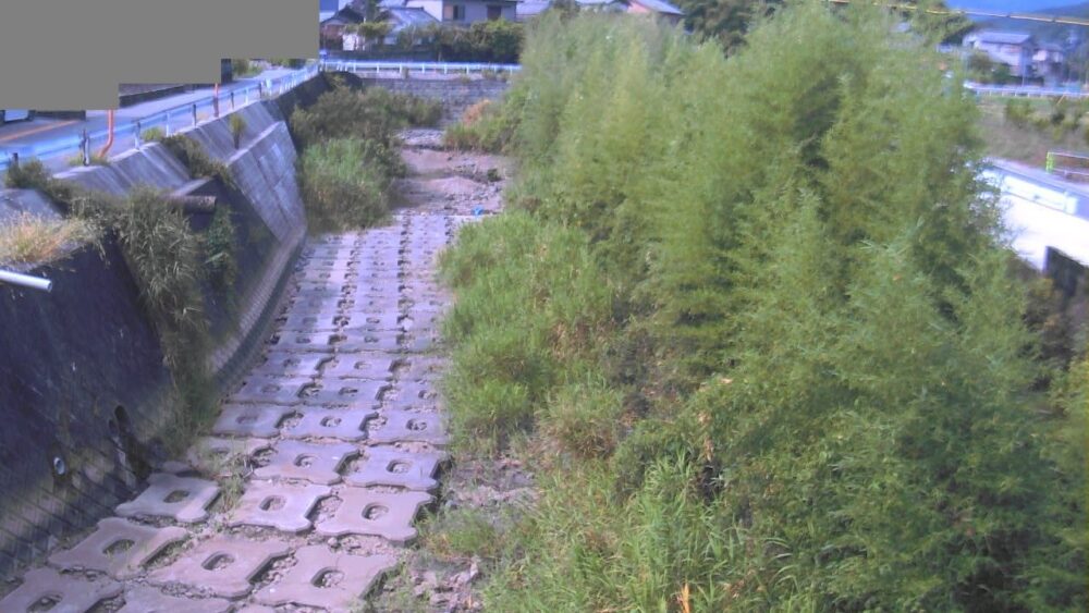 鳥羽河内川田城橋上流側