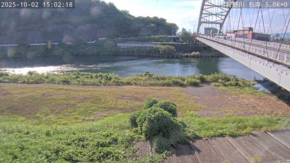 狩野川右岸5.0k+0