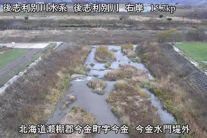 後志利別川右岸15.7kp