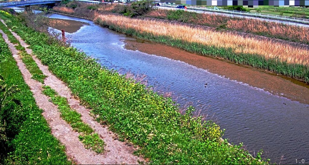 阿久比川岩滑