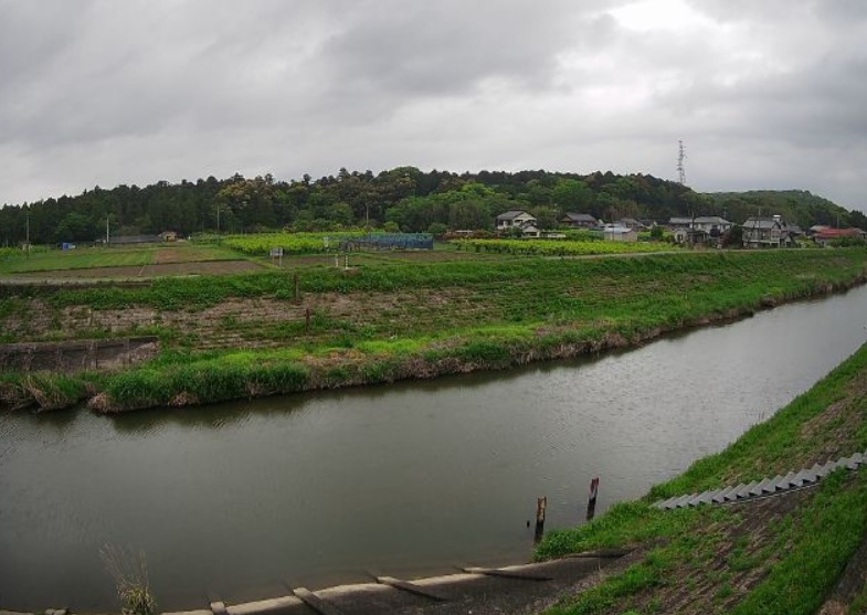 間川左岸2.5K