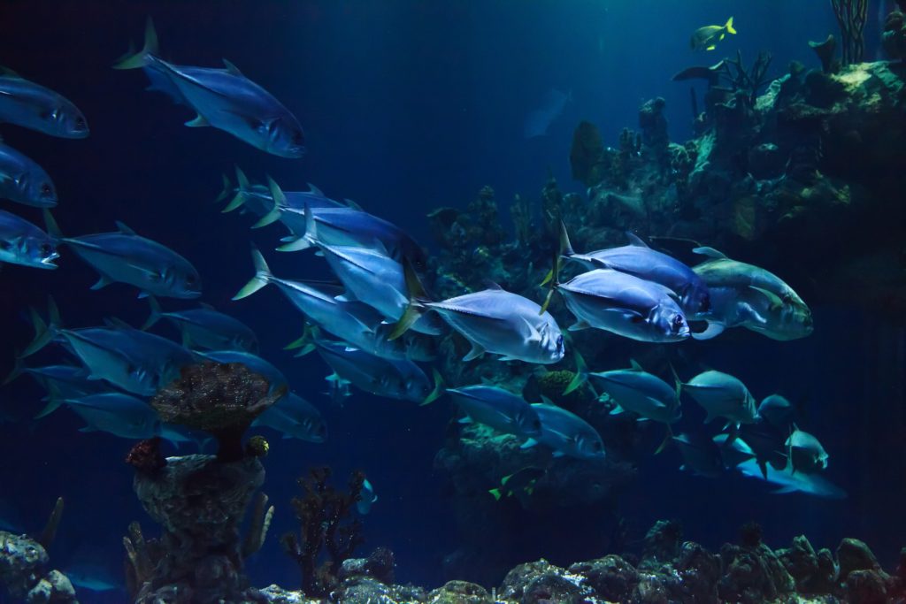 水族館