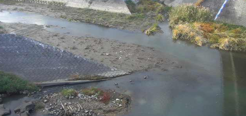 浅川大道橋