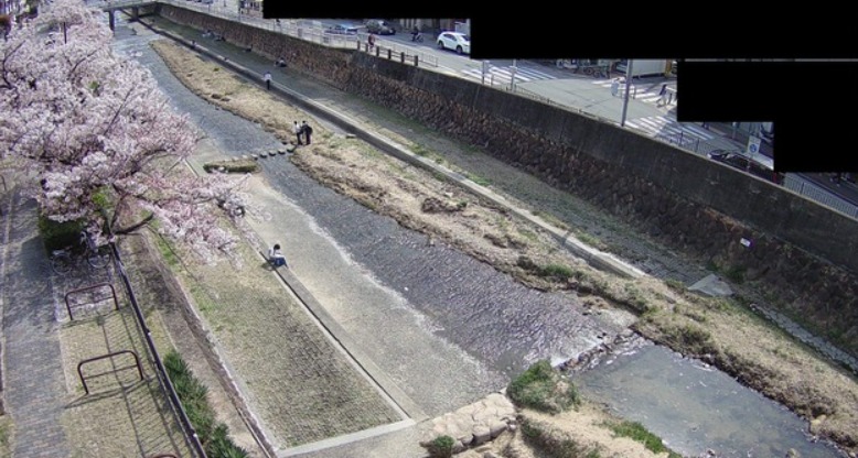 芦屋川水位観測所