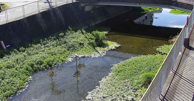 飛鳥川逢坂橋