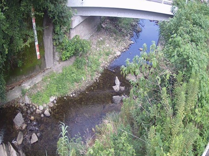 番川大渡橋