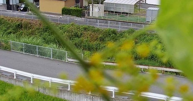 番川田身輪橋