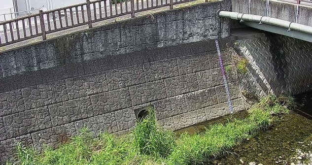 茶屋川茶屋川橋