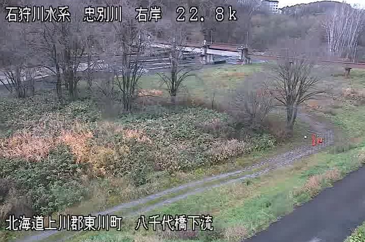 忠別川右岸22.8KP