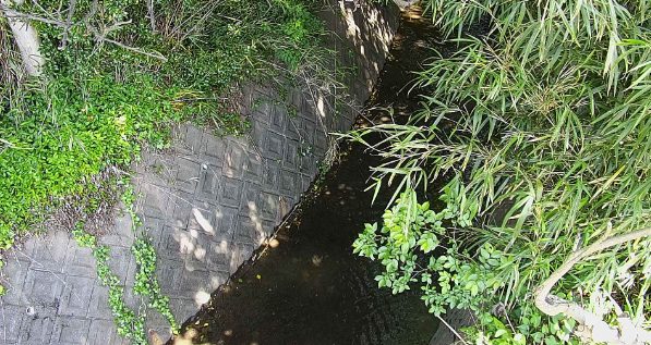 大場川多呂樋管