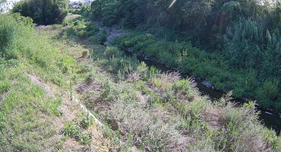 大日川大日川局