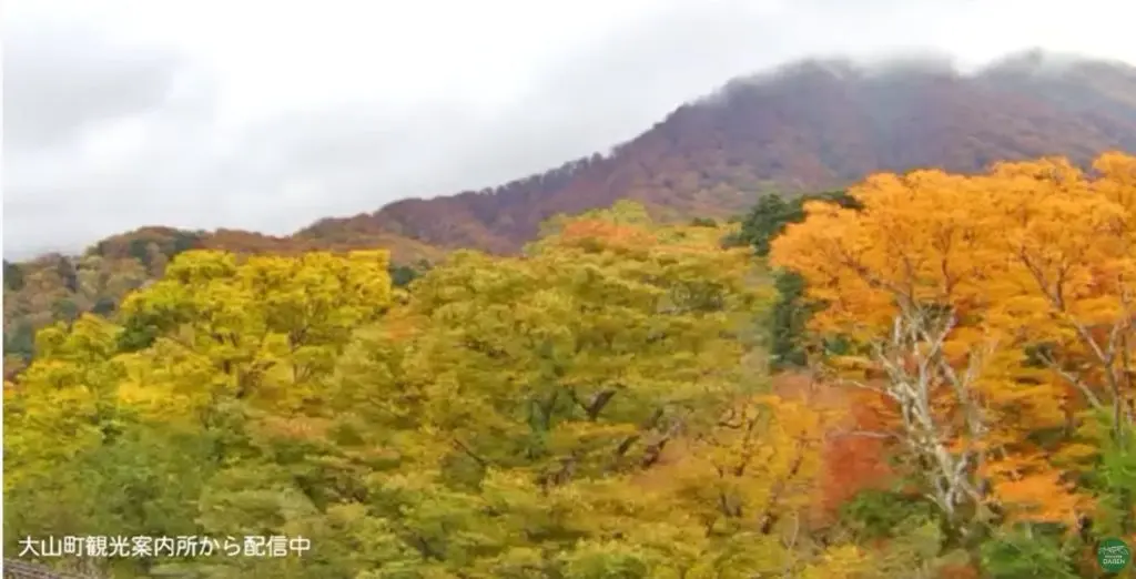 紅葉】大山観光局大山町観光案内所大山ライブカメラ | 鳥取県