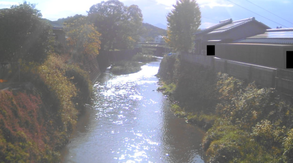 大束川富士見橋