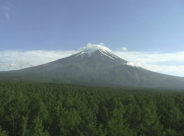 富士北麓フラックス